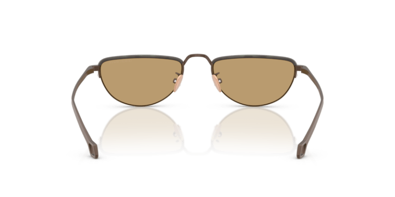 Matte Bronze - 0AR6166J 8056262246979