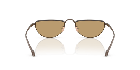 Matte Bronze - 0AR6166J 8056262246979