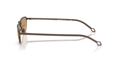 Matte Bronze - 0AR6166J 8056262246979