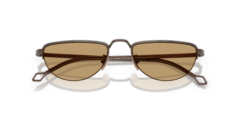 Matte Bronze - 0AR6166J 8056262246979