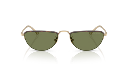 Matte Pale Gold - 0AR6166J 8056262246962