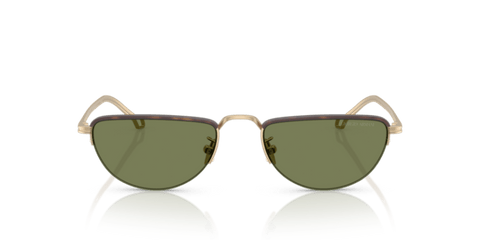 Matte Pale Gold - 0AR6166J 8056262246962