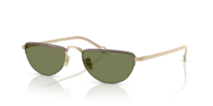 Matte Pale Gold - 0AR6166J 8056262246962