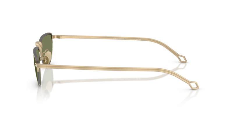 Matte Pale Gold - 0AR6166J 8056262246962