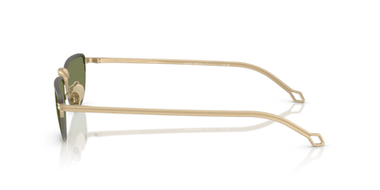 Matte Pale Gold - 0AR6166J 8056262246962