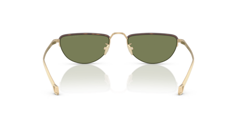 Matte Pale Gold - 0AR6166J 8056262246962