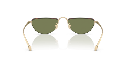 Matte Pale Gold - 0AR6166J 8056262246962