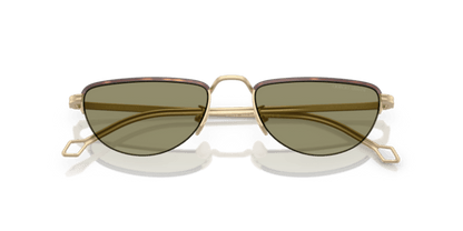 Matte Pale Gold - 0AR6166J 8056262246962