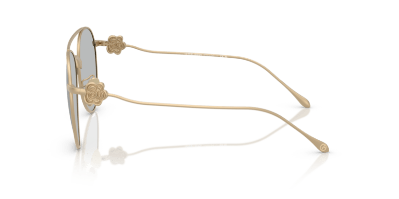 Matte Pale Gold - 0AR6167 8056262319017