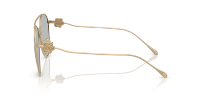 Matte Pale Gold - 0AR6167 8056262319017