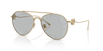 Matte Pale Gold - 0AR6167 8056262319017