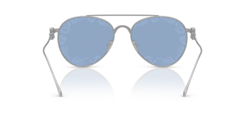 Matte Silver - 0AR6167 8056262319024