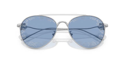 Matte Silver - 0AR6167 8056262319024