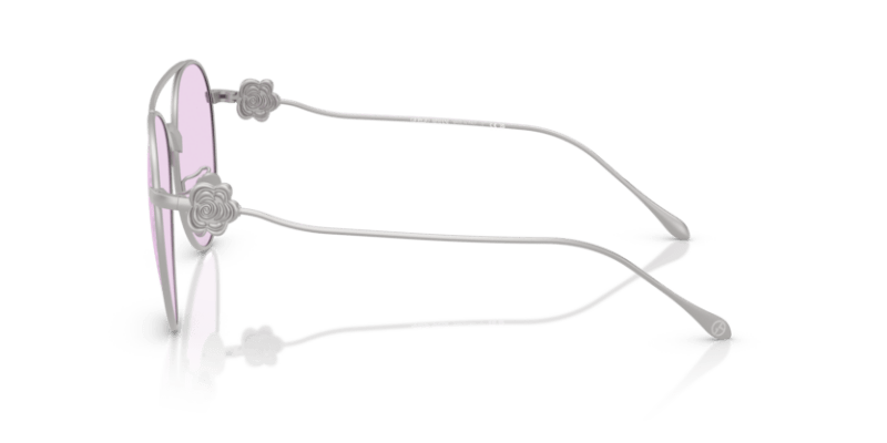 Matte Silver - 0AR6167 8056262319031