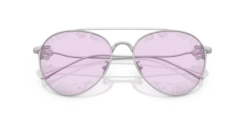 Matte Silver - 0AR6167 8056262319031