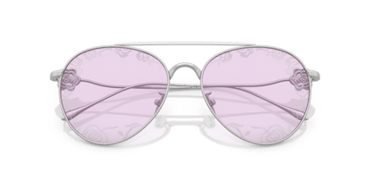 Matte Silver - 0AR6167 8056262319031