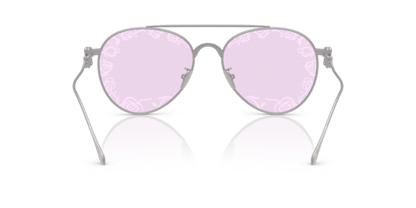 Matte Silver - 0AR6167 8056262319031