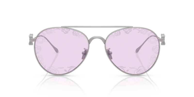 Matte Silver - 0AR6167 8056262319031