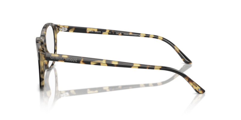 Top Black/Havana - 0AR7003 8056262062562