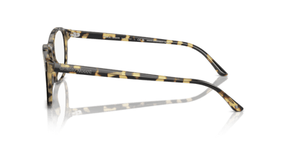 Top Black/Havana - 0AR7003 8056262062562