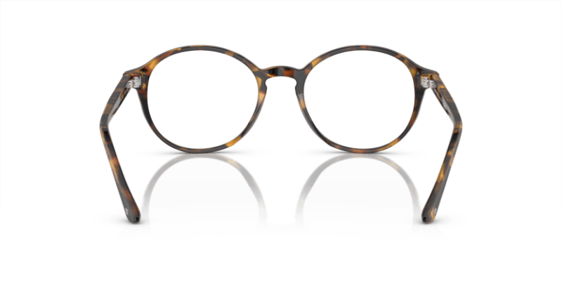 Matte Havana - 0AR7004 8053672032109