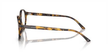 Matte Havana - 0AR7004 8053672032109