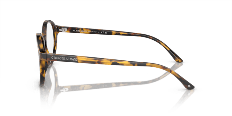 Matte Havana - 0AR7004 8053672032109