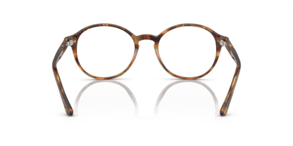 Yellow Havana - 0AR7004 8053672196313