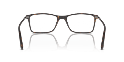 Matte Dark Havana - 0AR7037 8053672263145