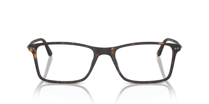 Matte Dark Havana - 0AR7037 8053672263145