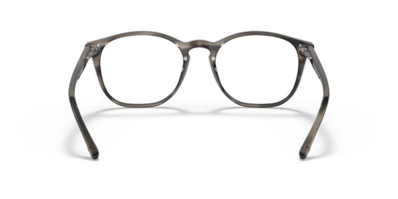 Bio Striped Grey Havana - 0AR7074 8056597649209