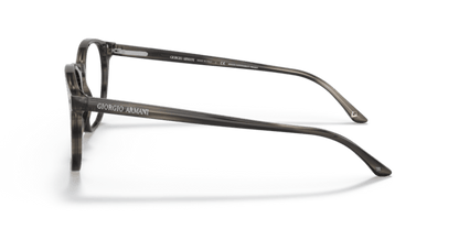 Bio Striped Grey Havana - 0AR7074 8056597649209