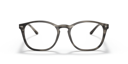 Bio Striped Grey Havana - 0AR7074 8056597649209