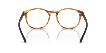 Matte Striped Light Brown - 0AR7074 8053672730005