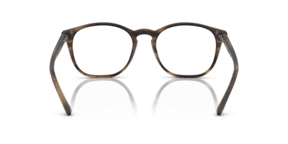 Striped Matte Dark Brown - 0AR7074 8053672392074