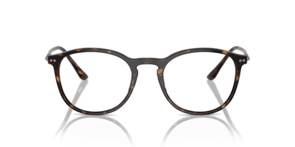 Dark Havana - 0AR7125 8053672646740