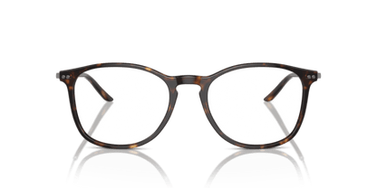 Dark Havana - 0AR7160 8053672879094