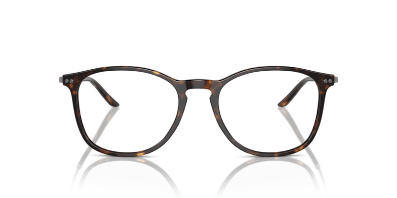 Dark Havana - 0AR7160 8053672879094