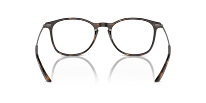 Dark Havana - 0AR7160 8053672879094