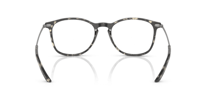 Grey Havana - 0AR7160 8056597785334