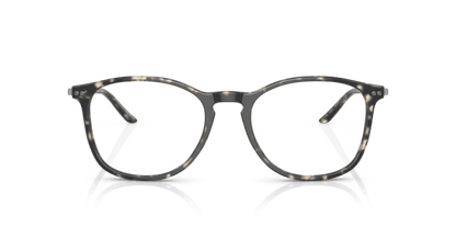 Grey Havana - 0AR7160 8056597785334