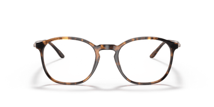 Honey Havana - 0AR7213 8056597518239