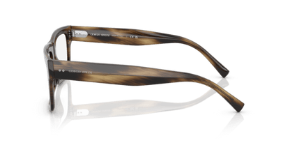 Striped Brown - 0AR7232 8056597753463