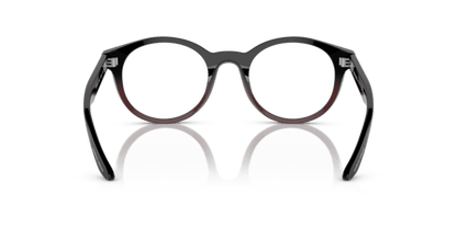 Gradient Black/Bordeaux - 0AR7239 8056597832717