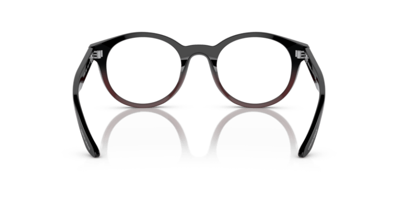 Gradient Black/Bordeaux - 0AR7239 8056597832717