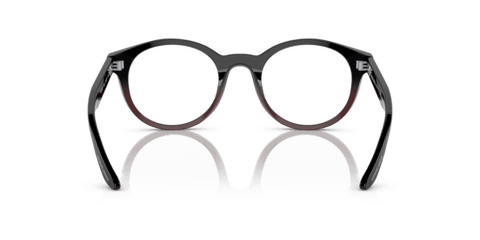 Gradient Black/Bordeaux - 0AR7239 8056597832717