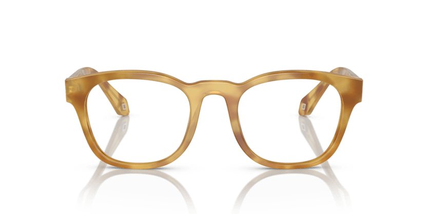 0AR7242 - Giorgio Armani - Tortoise - (Honey Havana 5979) - 51 - 21 - 145 MM - Ardor Eyewear 8056597833318