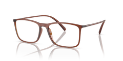 0AR7244U - Giorgio Armani - Brown - (Transparent Brown 6004) - 55 - 17 - 145 MM - Ardor Eyewear 8056597827782