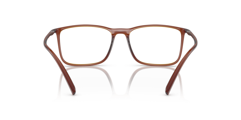 0AR7244U - Giorgio Armani - Brown - (Transparent Brown 6004) - 55 - 17 - 145 MM - Ardor Eyewear 8056597827782