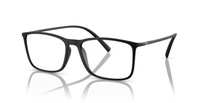 Matte Black - 0AR7244U 8056597827799